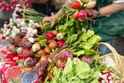 Watauga-County-Farmers_-Market